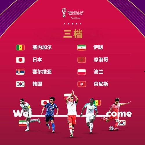 世界杯爆料最新结果公布,世界杯最新结果揭晓！