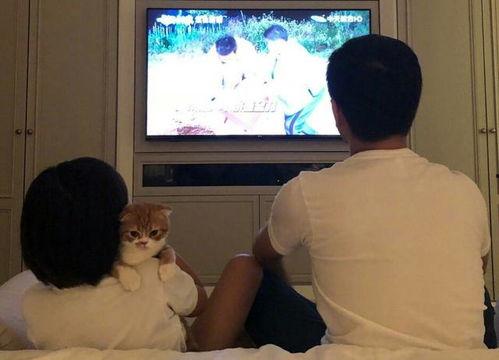 爆料小大人视频真人秀,真人秀中的成长与蜕变